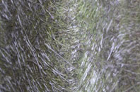 Scottas fibreglass roof work